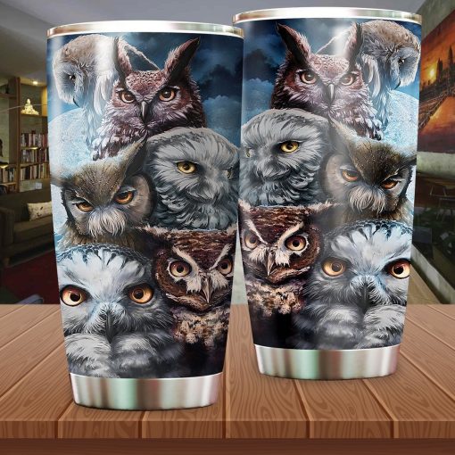 Owl Stainless Steel Insulated Tumbler Cups, Gift For Boyfriend, Gift Ideas For Friends, Best Gifts For Mom, Dad Day Gifts, Gift For Parent