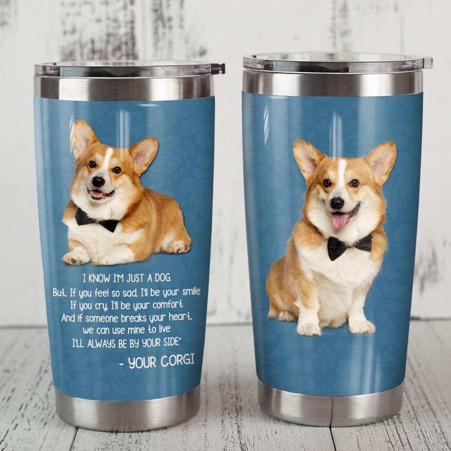 Corgi Dog Steel Tumbler MR1307 71O56