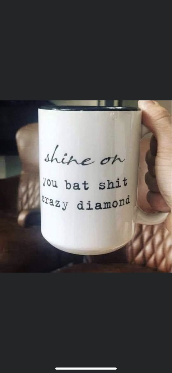 shine on you bat shit crazy diamond