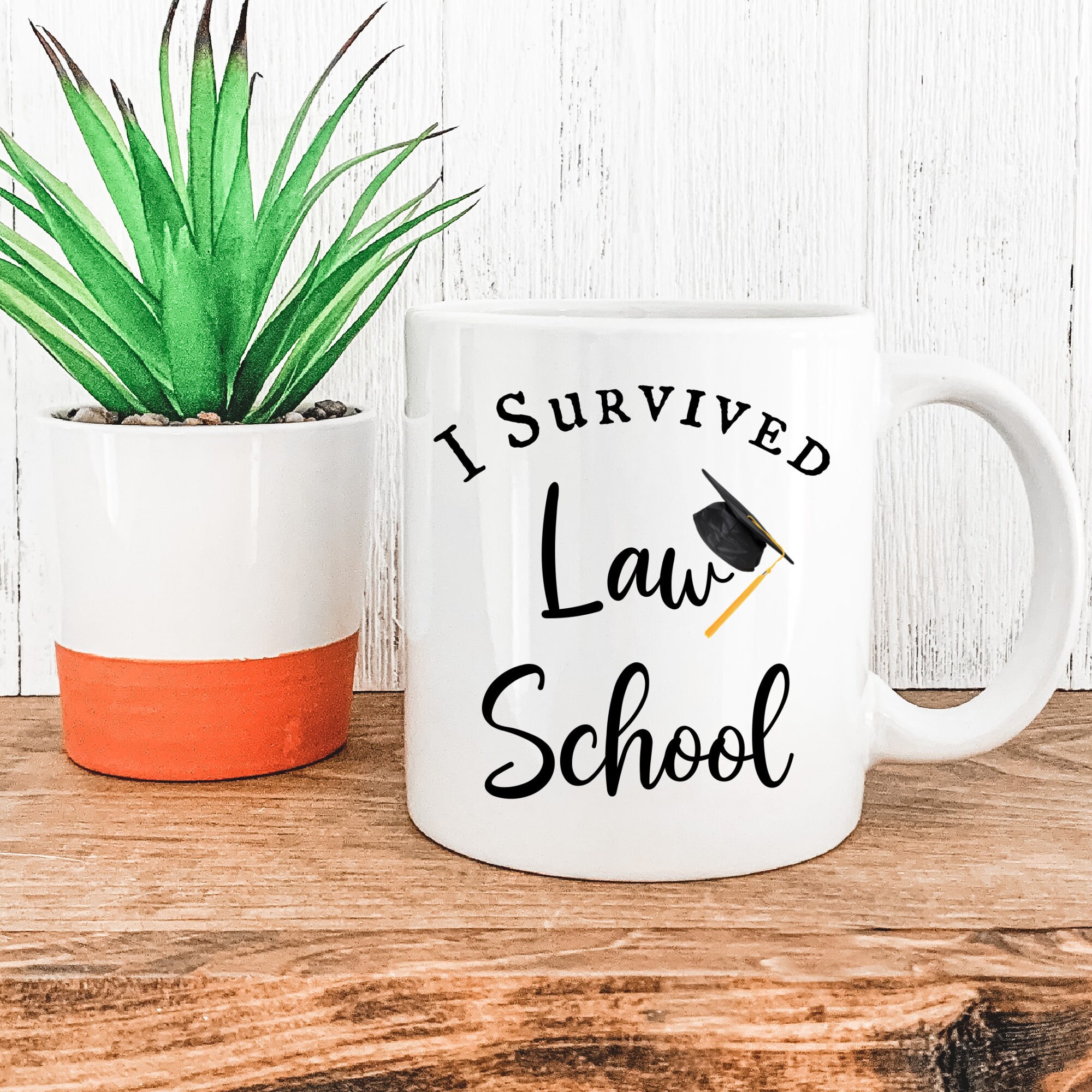 Law School Graduation gift, Graduation Mug, swearing in ceremony gift, new attorney gift, Bar Exam Gift, Law School Graduate