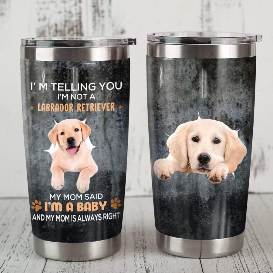 Labrador Retriever Dog Steel Tumbler FB0708 78O57