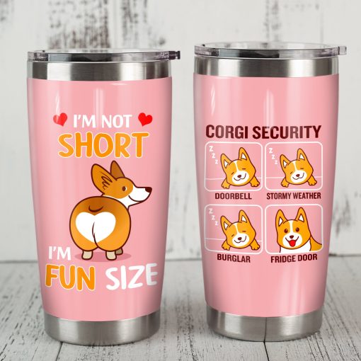 Corgi Dog Steel Tumbler, Birthday Gift, Birthday Gift For Sister, 60Th Birthday Ideas, Gift For Best Friend, Gift For Girlfriend, Gift For Brother