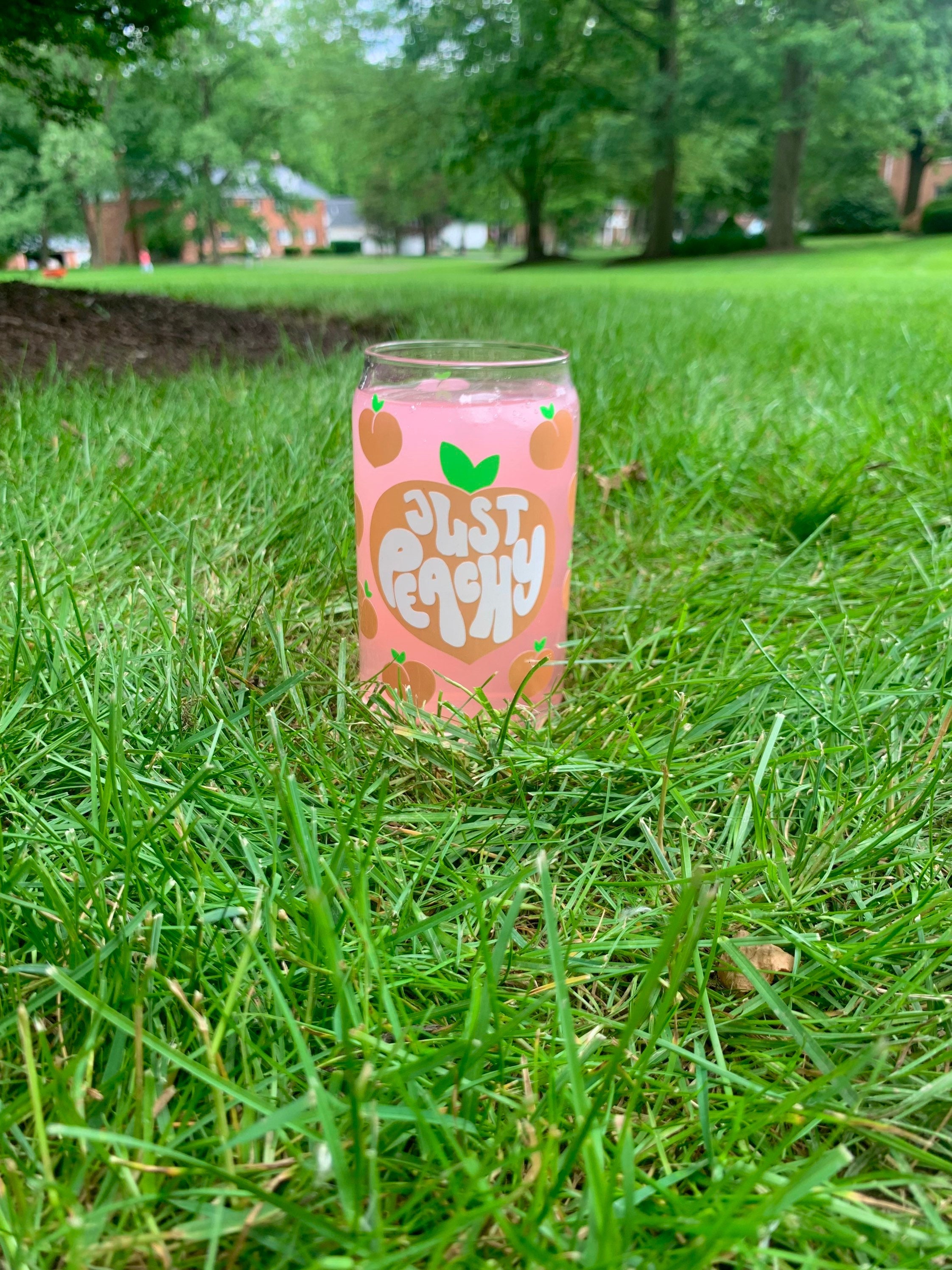 Summertime Fruit Beer Can Glass / Peaches Glass Can / Just Peach / Iced Coffee Glass / Fruit Cold Cup / Gift for Her