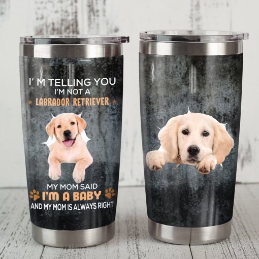 Labrador Retriever Dog Steel Tumbler, Mom Christmas Gifts, Birthday Gift Ideas For Mom, Gifts For New Moms, Gift For Girlfriend, Dad Day Gifts