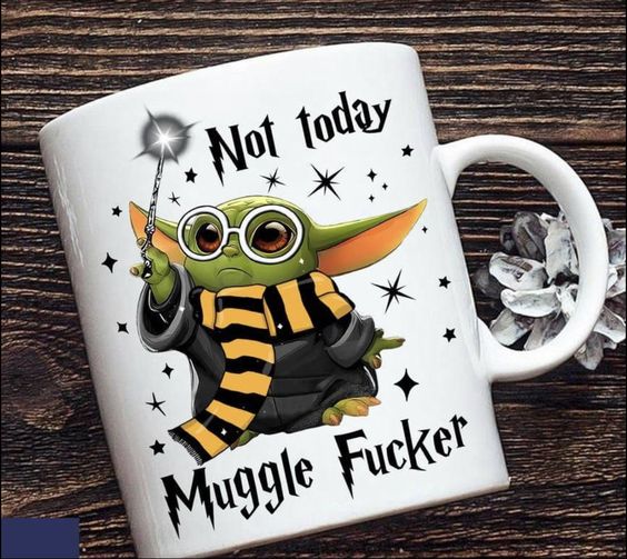 Not Today Muggle Fucker Mug