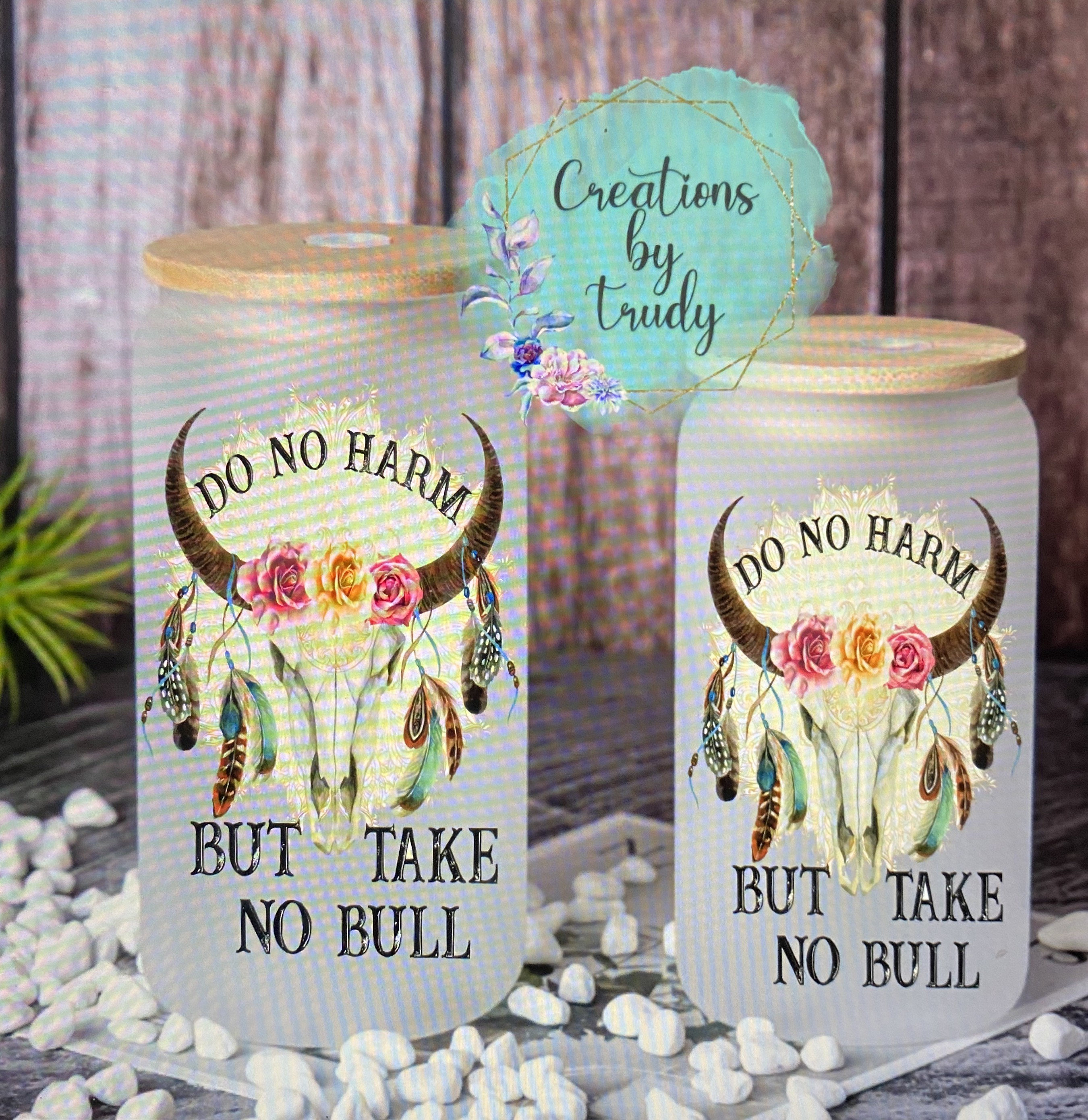 Do no harm, but take no bull- frosted can shaped glass with lid and straw