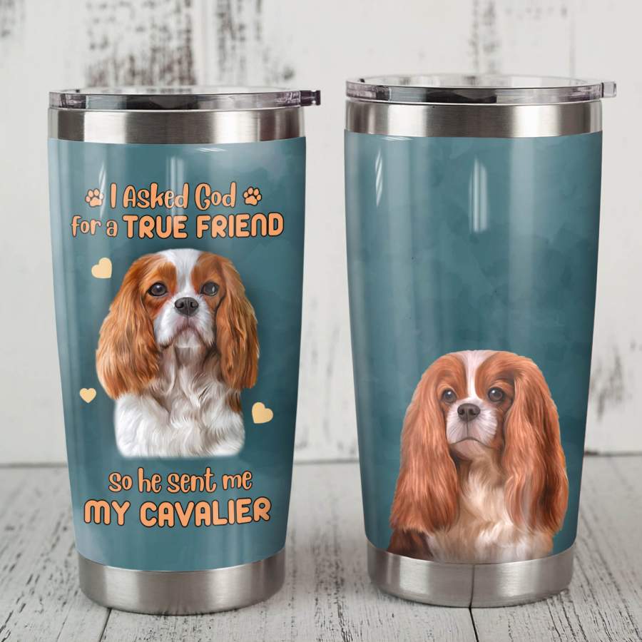 Cavalier King Charles Spaniel Dog Steel Tumbler MR0704 69O50