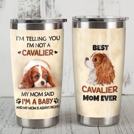 Cavalier King Charles Spaniel Dog Steel Tumbler, Gift For Best Friend, First Mother’S Day Gift, Father’S Day Gifts, Best Gifts For Mom