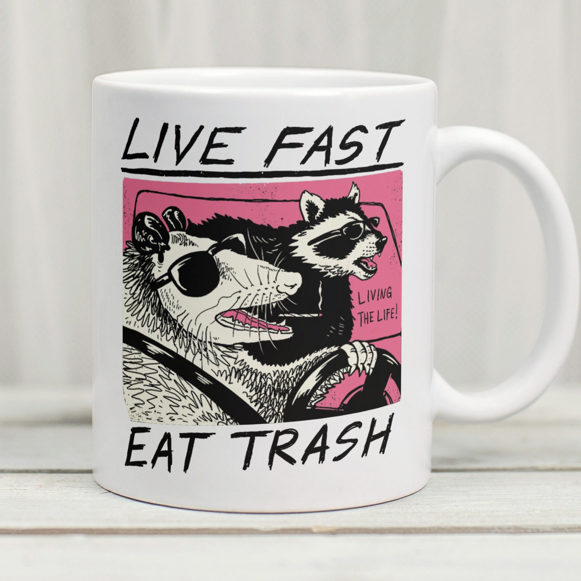 Live Fast Eat Trash Mug, Trash Mug, Funny Raccoon Mug, Opossum Mug, Funny Animal Mug, Gag Mug, Raccoon Gift