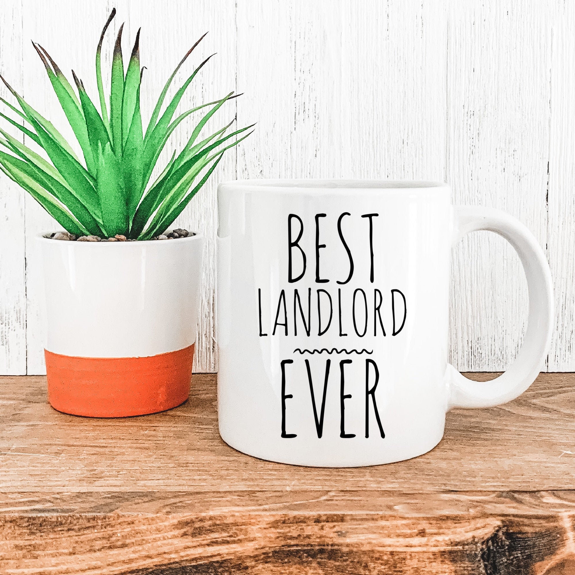 Funny Landlord Gift Mug for Men and Women For Birthday Appreciation Thank You Gift Land Owner Gift Land Owner Mug Landlady Mug Housewarming