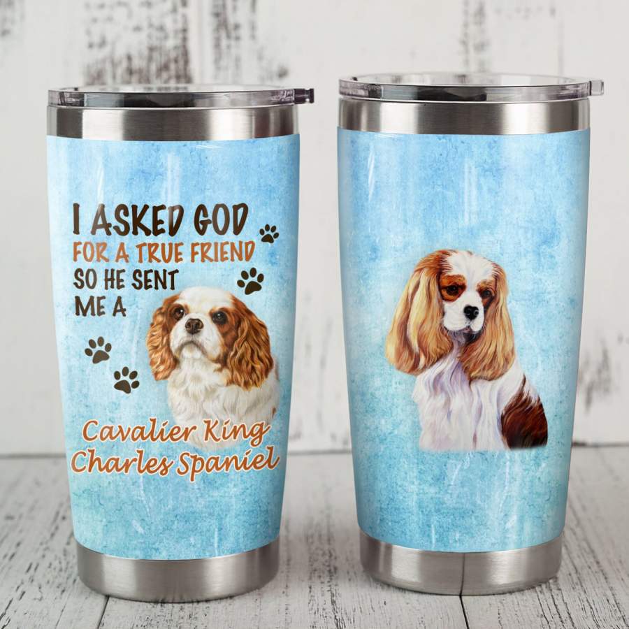 Cavalier King Charles Spaniel Dog Steel Tumbler MR0708 71O49