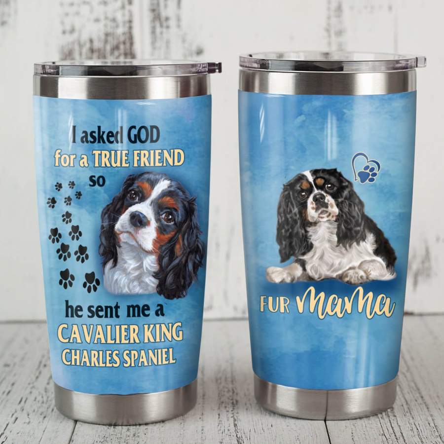 Cavalier King Charles Spaniel Dog Steel Tumbler MR0703 70O50