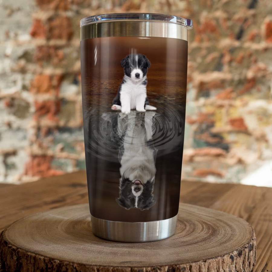 Border Collie Dog Steel Tumbler MR1302 69O43