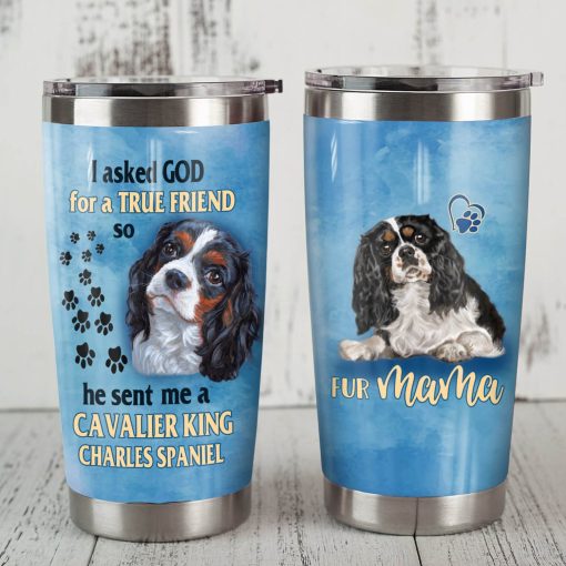 Cavalier King Charles Spaniel Dog Steel Tumbler, Gifts For Dad, Birthday Gifts For Her, Gift For Boyfriend, Gift Ideas For Wife, Gift Ideas For Dad