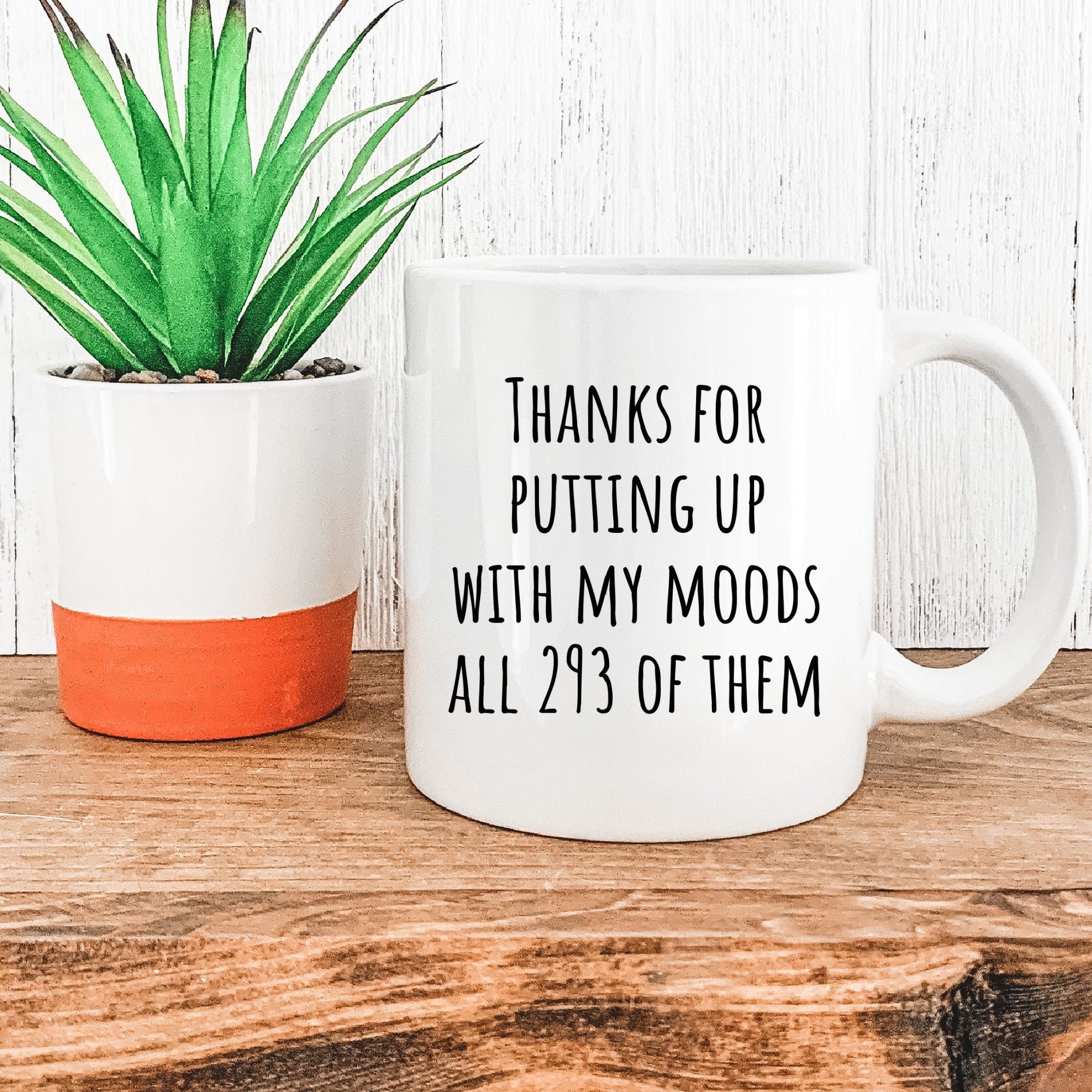 Cute Anniversary Gift Thanks for Putting up with my Moods all 293 of them Coffee Mug Gifts For Boyfriend Gifts For Boyfriend